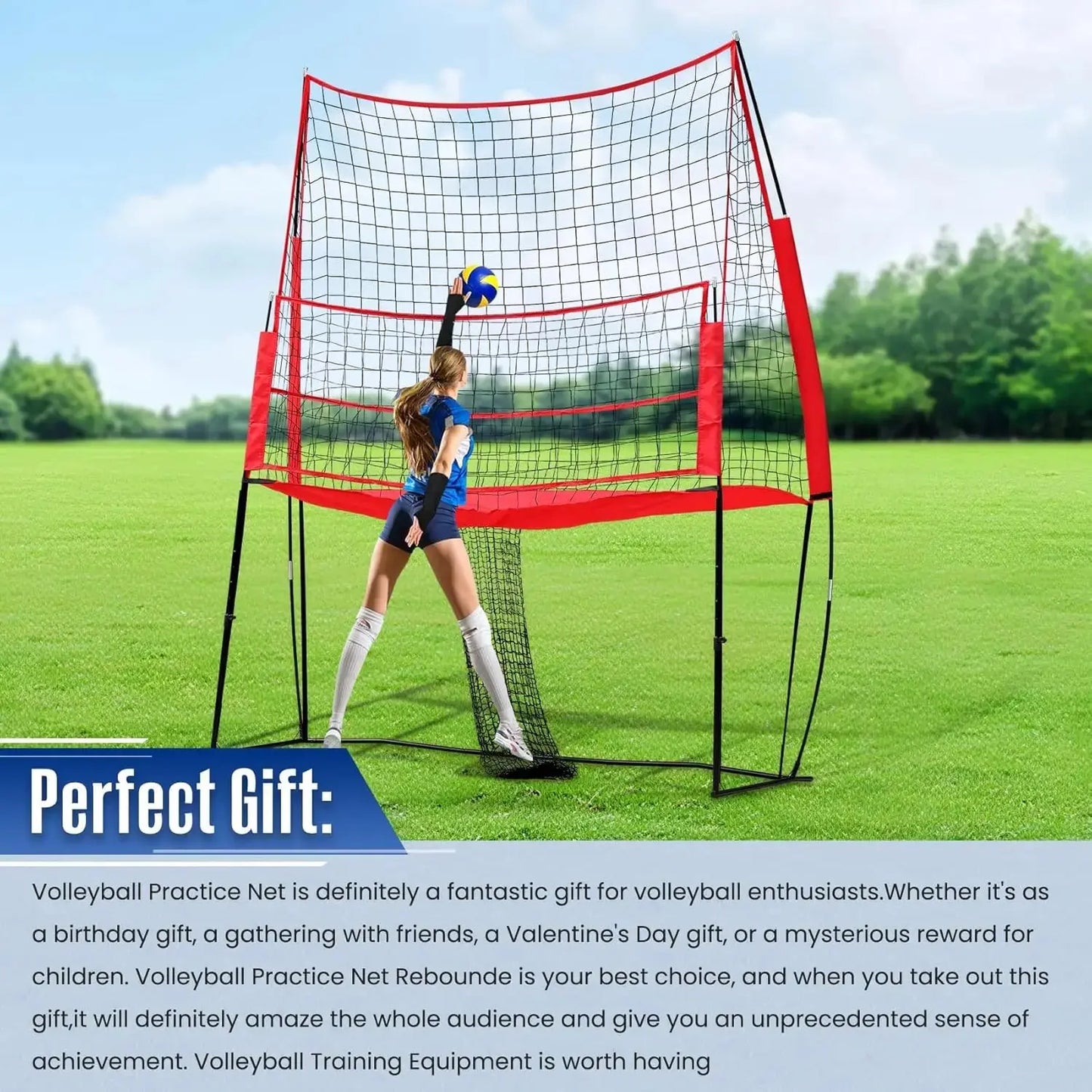 Volleyball Training Net,Volleyball Practice Net,Volleyball Training Net System,Volleyball Training Equipment Net Zenn Organics Inc