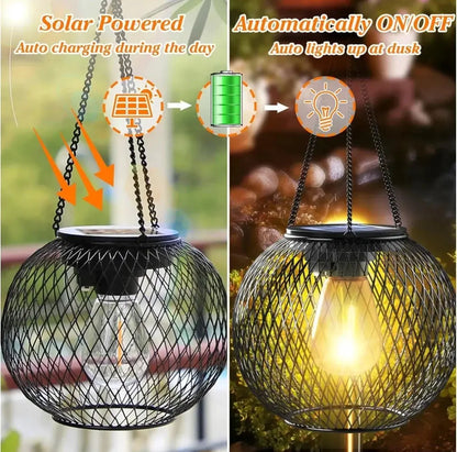 Outdoor solar lantern by Zenn Organics Inc, upgraded waterproof hanging light with decorative outdoor lighting for garden or patio.