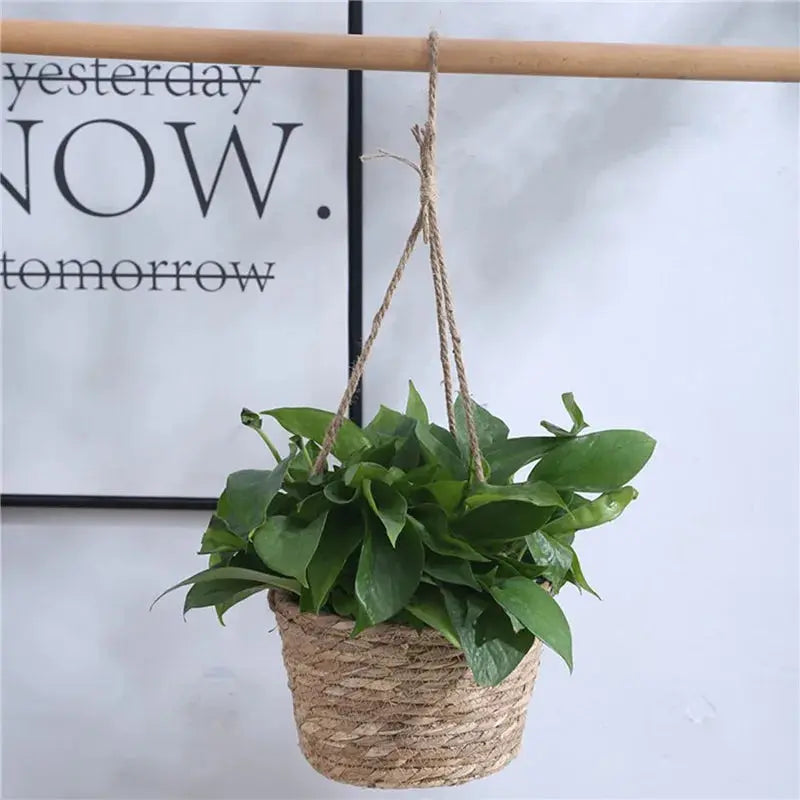 Garden Hanging Planter Macrame Plant Storage Basket Jute Rope Woven Indoor Outdoor Flower Pot Holder Plant Hangers Home Decor Zenn Organics Inc