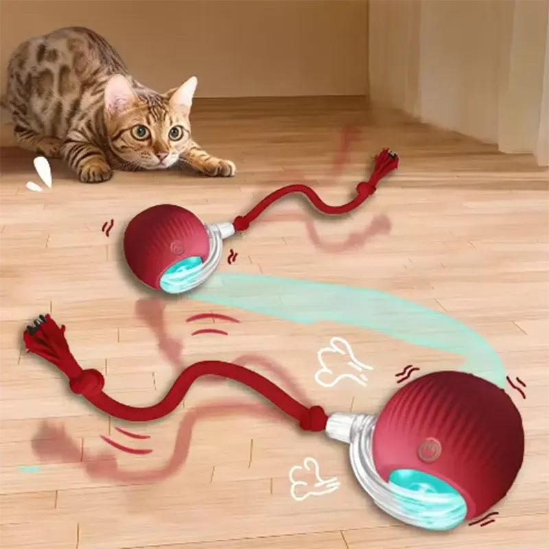 Zenn Organics Inc hot pet dog toys including teasing cat balls and self-activating cat sticks, durable and resistant to wear