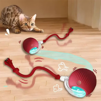 Zenn Organics Inc hot pet dog toys including teasing cat balls and self-activating cat sticks, durable and resistant to wear