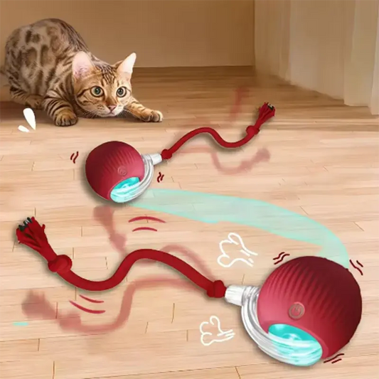 Zenn Organics Inc hot pet dog toys including teasing cat balls and self-activating cat sticks, durable and resistant to wear
