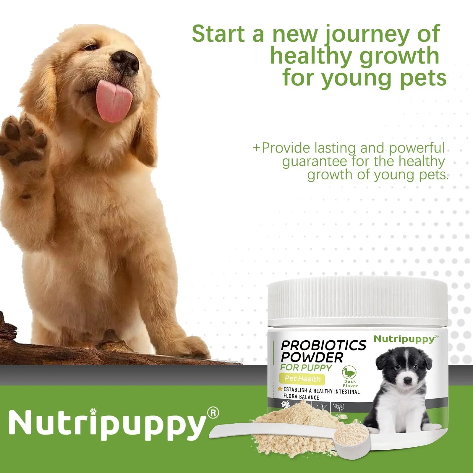 Dog Probiotic Powder Supplement - Supports Digestive Health&Relieves Diarrhea,Boosts Immune System for Puppy Adult Senior Dogs Zenn Organics Inc