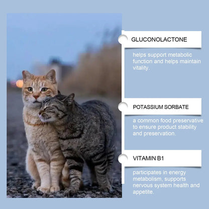 Yegbong 50ml Cat Vitamin Supplement Daily Care to Help Nutrition, Promote Growth, and Support Cat's Recovery, Vitamin Care Drops Zenn Organics Inc