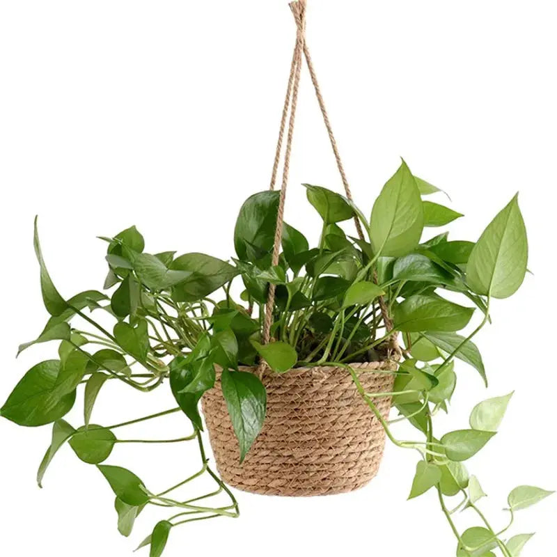 Garden Hanging Planter Macrame Plant Storage Basket Jute Rope Woven Indoor Outdoor Flower Pot Holder Plant Hangers Home Decor Zenn Organics Inc