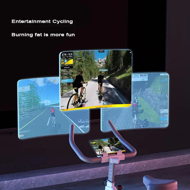 Full Coverage Spinning Bike, Home Ultra Quiet Fitness Bike, Indoor Aerobic Exercise Bike Zenn Organics Inc