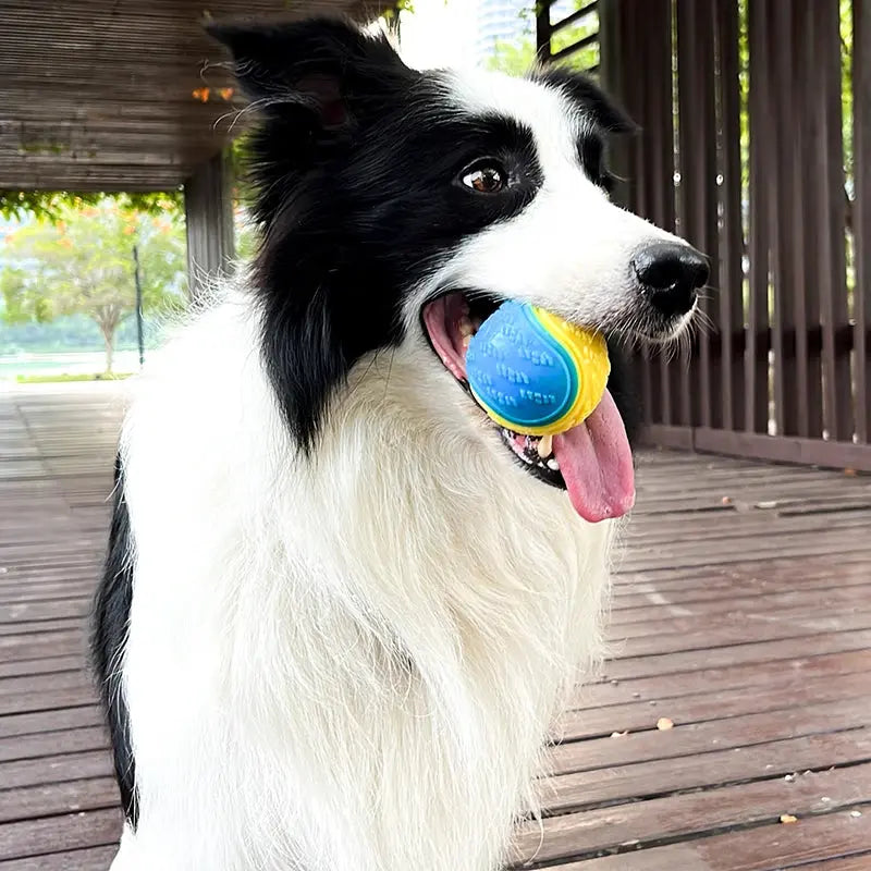 Soft TPR squeaky dog ball toy from Zenn Organics Inc, designed for interactive play and teeth cleaning with bite-resistant durability.
