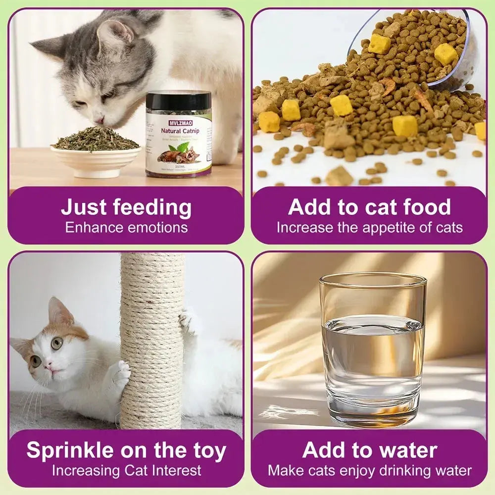 Cat Crack Catnip 100% Natural Safe & Non-Addictive Catnip Treats Used to Supplement Catnip Toys, Catnip Spray, & Cat Accessories Zenn Organics Inc