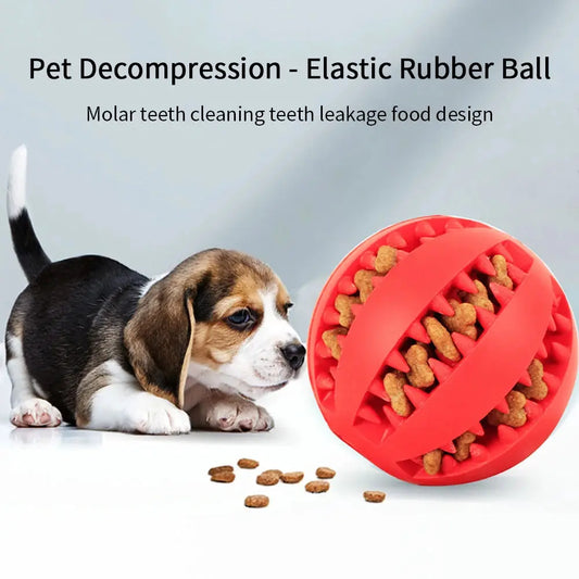 Zenn Organics Inc pet dog ball toy for small dogs, interactive rubber chew toy with elasticity and food dispensing feature.