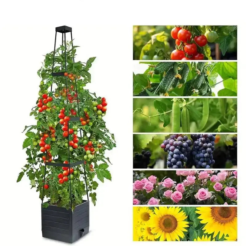 Garden Raised Bed Planter Boxes with Trellis,Tomato Growing Box with Shelf,Self Watering Tomato Climbing Stand,Garden Planting Zenn Organics Inc