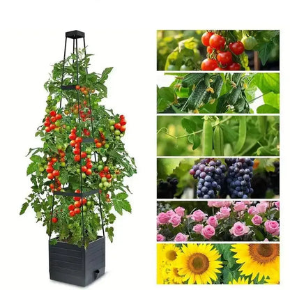Garden Raised Bed Planter Boxes with Trellis,Tomato Growing Box with Shelf,Self Watering Tomato Climbing Stand,Garden Planting Zenn Organics Inc