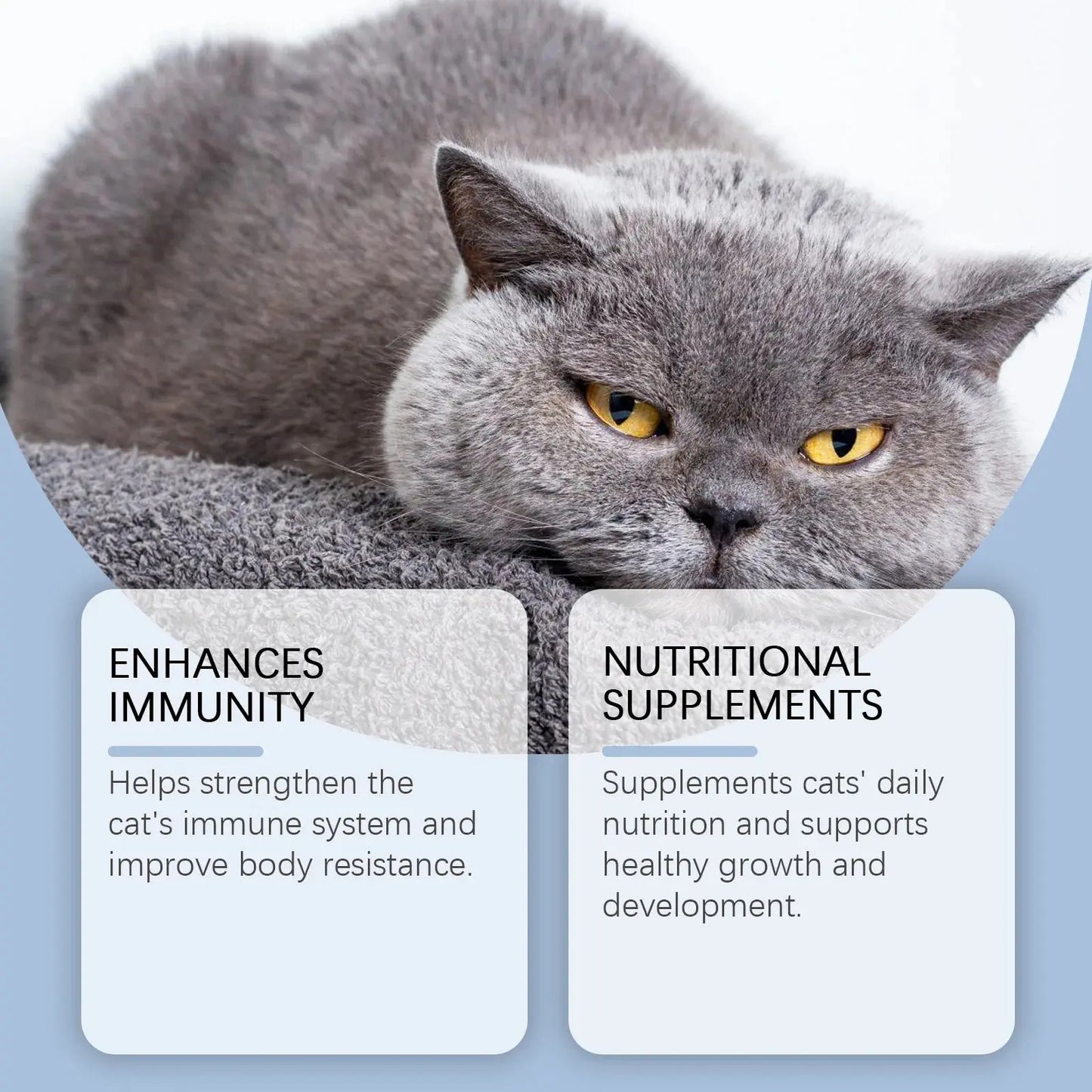 Yegbong 50ml Cat Vitamin Supplement Daily Care to Help Nutrition, Promote Growth, and Support Cat's Recovery, Vitamin Care Drops Zenn Organics Inc