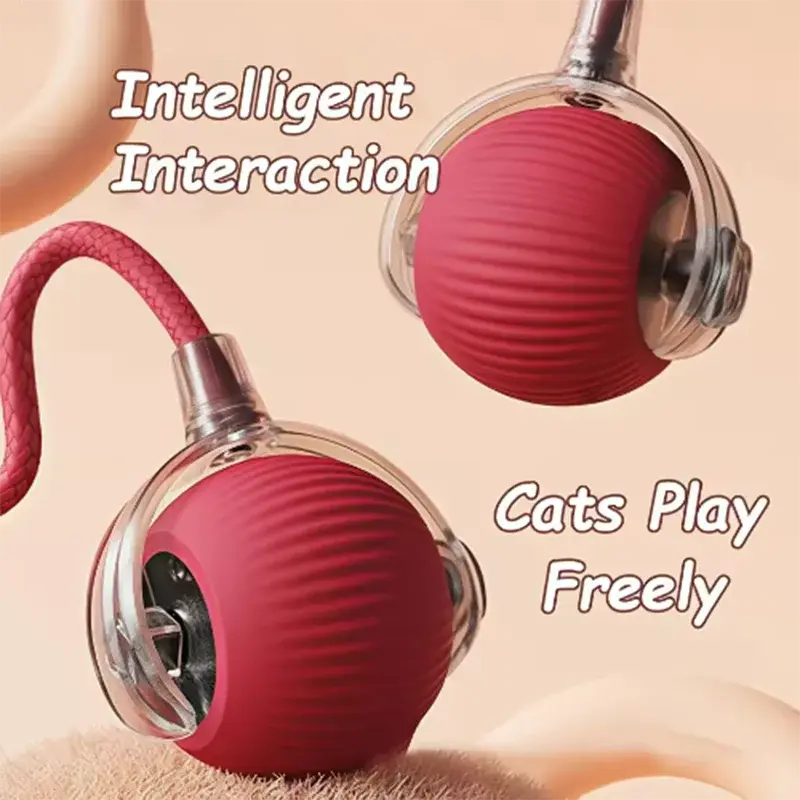 Zenn Organics Inc hot dog pet toys including teasing cat balls and self-exciting cat sticks, wear-resistant for active cats and dogs