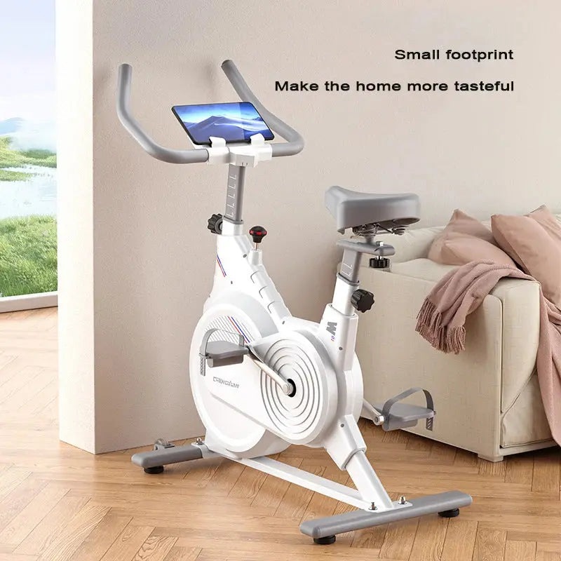 Full Coverage Spinning Bike, Home Ultra Quiet Fitness Bike, Indoor Aerobic Exercise Bike Zenn Organics Inc